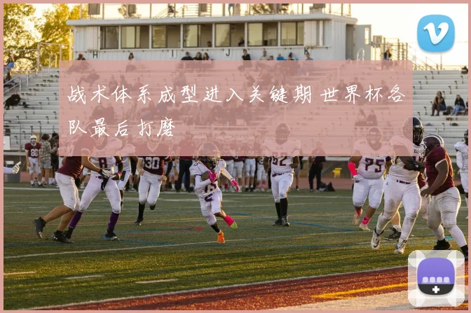 战术体系成型进入关键期 世界杯各队最后打磨