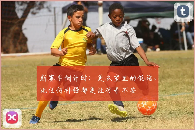 新赛季倒计时：更衣室里的低语，比任何补强都更让对手不安
